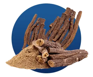 finessa licorice